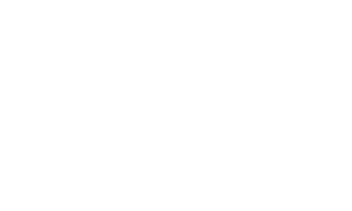 flight simulator